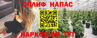 шишки Будённовск
