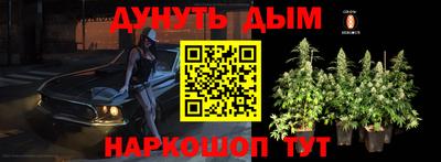 шишки Будённовск