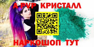 шишки Будённовск
