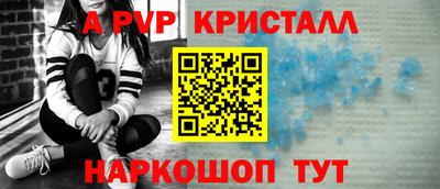 шишки Будённовск