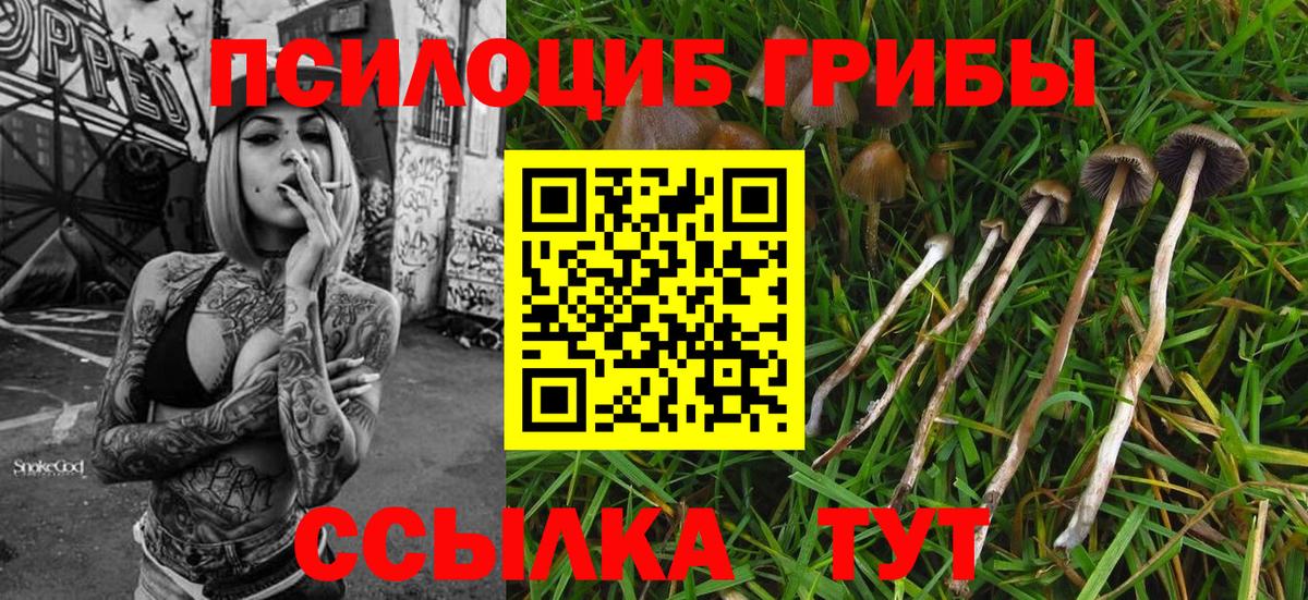 Галлюциногенные грибы Psilocybine cubensis  Вход с VPN  Реутов  Галлюциногенные грибы MAGIC MUSHROOMS 