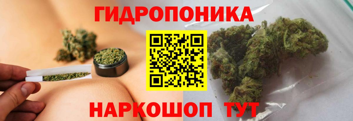 Реутов  Бошки марихуана конопля  Каннабис план  Вход с VPN  Бошки Шишки AK-47  Конопля тримм 